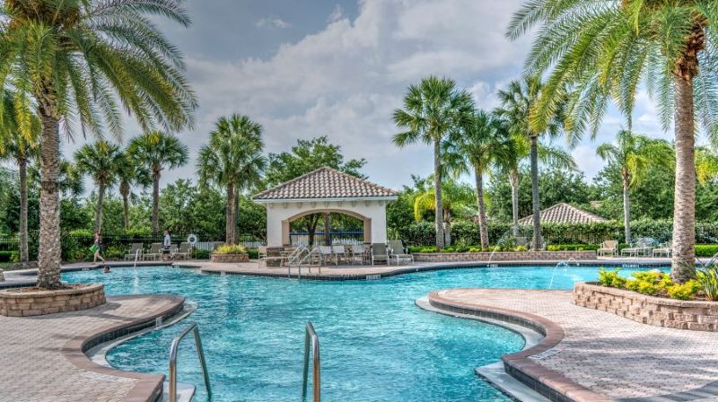 Swimming pool with a paved surround and palm planting